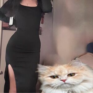 dress collaboration Chloe X Halle and Pink